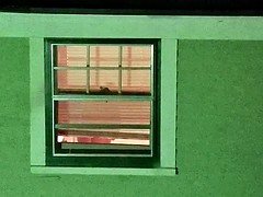 Kelly 5-2-17 Part 1