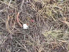 Grosse bite, Gros seins, Queue, Public, Chatte, Rousse roux, Adolescente, Nénés