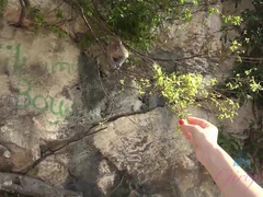 素人, 茶髪の, 口内発射, 彼女, オイル, オーガズム, 公共, オマンコ