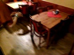 Enthousiasteling, Bruinharig, Europees, Buiten, Gezichtspunt, Openbaar, Toilet