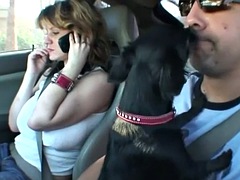 Grosse bite, Faciale, Mère que j'aimerais baiser, Actrice du porno, Public, Réalité, Suçant, Nénés