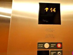 Nana, Doigter, Lesbienne, Chatte