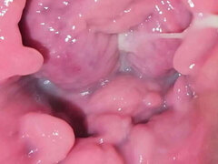 Exploring My Plump Vulva: A Close-Up Experience