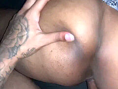 Verga grande, Morena, Ébano