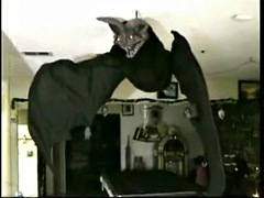 Sadomasochismus, Hardcore, Herrin, Pervers, Sklave