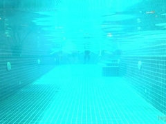 Kont, Zwart, Bruinharig, Schattig, Tsjechisch, Doordringend, Lang, Tatoeage