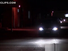 Kont, Lul, Kwartet, Groep, Hd, Natuurlijk, Feest, Swinger