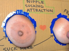 Nipple Sucking Attraction