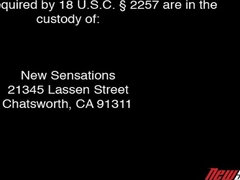 Grote kont, Pijpbeurt, Bruinharig, Rondborstig, Sperma shot, Gezichtspunt, Spuiten, Tieten likken