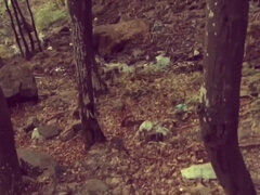 Outdoor BUTT SEX in Forest with Deep Cum Load