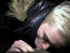 ブロンド, フェラチオ, チン, バック, 顔射, 手コキする, Hd, アウトドア