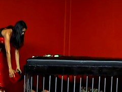 Bondage domination sadisme masochisme, Bondage, Femme dominatrice, Pov, Fessée