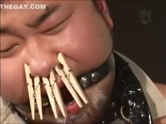 ゲイ