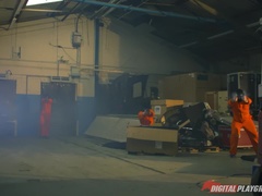 Blond, Pijpbeurt, Hondjeshouding, Sperma in gezicht, Handbeurt, Buiten, Realiteit, Billekoek