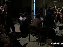 Садо мазо, Большой член, Бондаж, Фистинг, Групповуха, Оргии, На публике, Порка