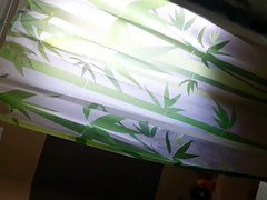 Leie, Zierlich, Dusche, Jungendliche (18+), Spanner