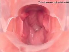 Pussy inside cam