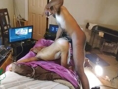 Éjaculation interne, Noir ébène, Mère que j'aimerais baiser, Maman, Petite femme, Chatte, Jarretelles, Serré