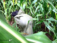 イく瞬間, デンマーク人, 手コキする, Hd, ゴム, 乳首, アウトドア, 公共