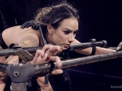 Grote mammen, Gebondenheid