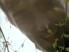 Cul, Sucer une bite, Rondelette, Gorge profonde, Queue, Grosse, Français, Orgasme