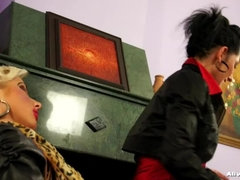 Pelea de gatas, Extremo, Cuero, Pantaletas, Satén, Mojado