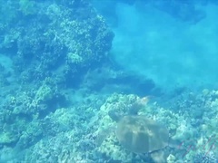 素人, ブロンド, フェラチオ, ヌード, 小柄, ハメ撮り, 公共, オッパイの