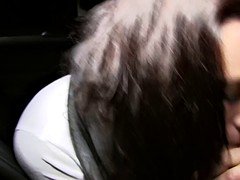 素人, 車, 自然山雀