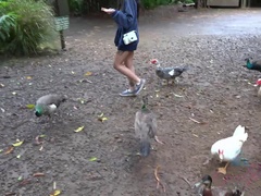 Любители, Пляж, Эксгибиционист, Подружка, Голышом, На природе, На публике, Влажная