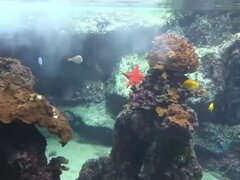 素人, 車, フェティッシュ, 足フェチ, アウトドア, 放尿, 喫煙, おもらし