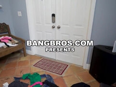 Красотки, Большие сиськи, Минет, Брюнетки, Собачьи, Служанка, Натуральные сиськи, Сиськи