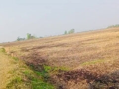 18 años, Engañando, Hembra, Indio, Masturbación, Orinar, Coño, Madrastra