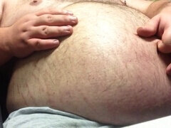 Belly, bear, chubby