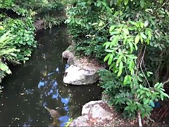 an appointment with hot Carmen leads to a creampie