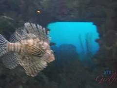 汚れた　, ドレス, 彼女, ラティーナ, オナニー, ハメ撮り, オマンコ, 剃毛