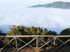 Belleza, Europeo, Al aire libre, Solo
