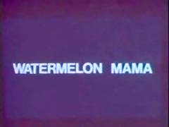Classic Vintage Retro - Diamondclip - Watermelon Mam...