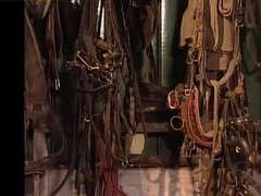 Anal, Culo grande, Tetas grandes, Corridas faciales, Sexo duro, Lencería, Madres para coger, Esposa