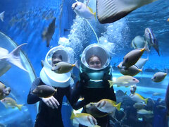 Leie, Asiatisch, Grosser arsch, Grosser schwanz, Paar, Freundin, Selbstgemacht, Pov