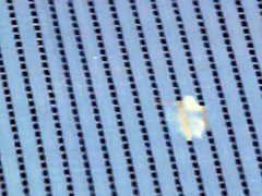 Mamada, Corridas, Europeo, Afeitado, Trio