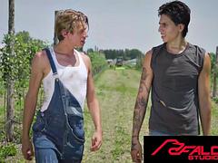 Grosse bite, Sucer une bite, Homosexuelle, Hard, Masturbation