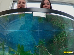 デカパイ, 巨乳な, 自然山雀, 濡れ