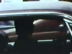 乱交, 毛深い, ポルノスター, オッパイの, ヴィンテージ