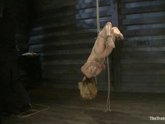 アナル, 緊縛, ボンデージ, ディルド, 女, 陵辱, お仕置き, 奴隷