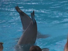 Morena, Novia, Pezones inflados, Coño, Afeitado, Fumando, Tetas, Vibrador