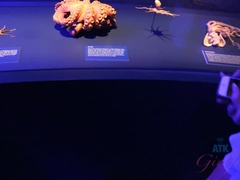 素人, 浴室, ブロンド, 汚れた　, パンティ, ピアス, ハメ撮り, 剃毛