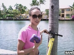 Bruinharig, Autobus, Zwart, Hd, Interraciaal