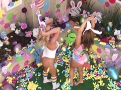 Cul, Gros seins, Bisexuelle, Sucer une bite, Brunette brune, Chatte, Plan cul à trois, Nénés