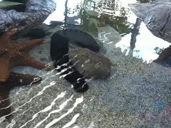 Amateur, Gros seins, Branlette thaïlandaise, Branlette thaïlandaise, Culottes ou slips, Pov, Chatte, Rasée