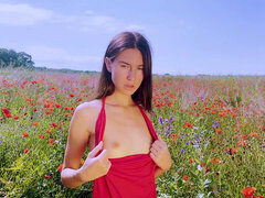 Flowers, poppy, tease